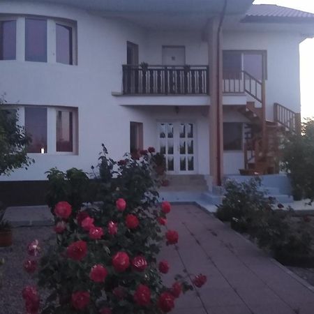 Casa Doina Hotel Douazeci si Trei August Bagian luar foto