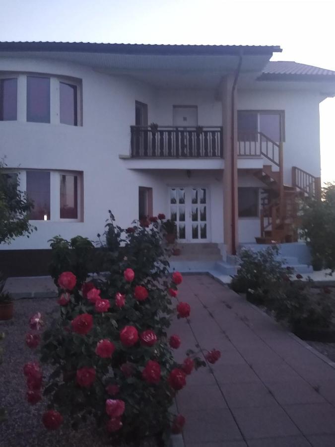 Casa Doina Hotel Douazeci si Trei August Bagian luar foto