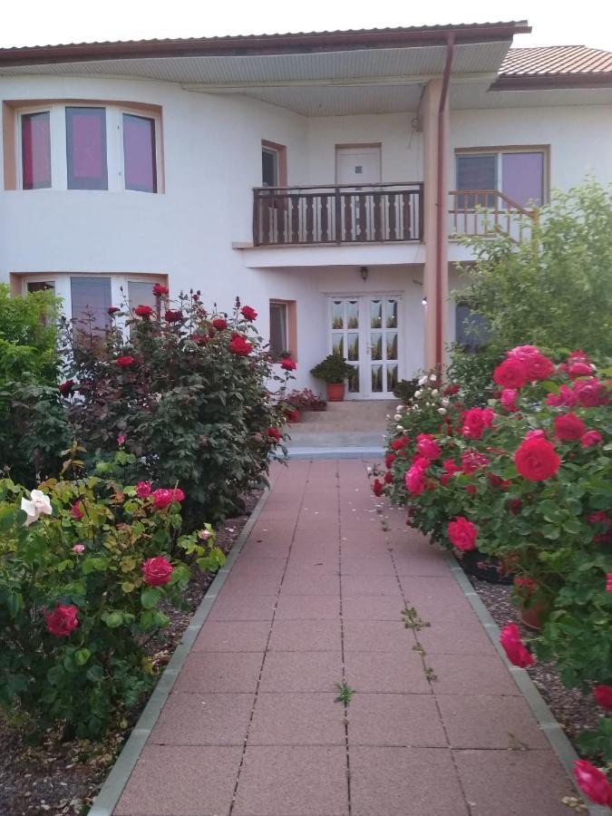 Casa Doina Hotel Douazeci si Trei August Bagian luar foto