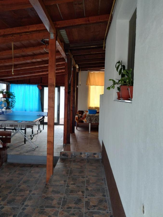 Casa Doina Hotel Douazeci si Trei August Bagian luar foto