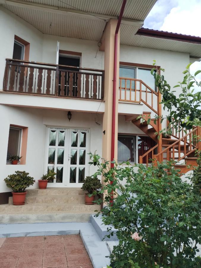 Casa Doina Hotel Douazeci si Trei August Bagian luar foto