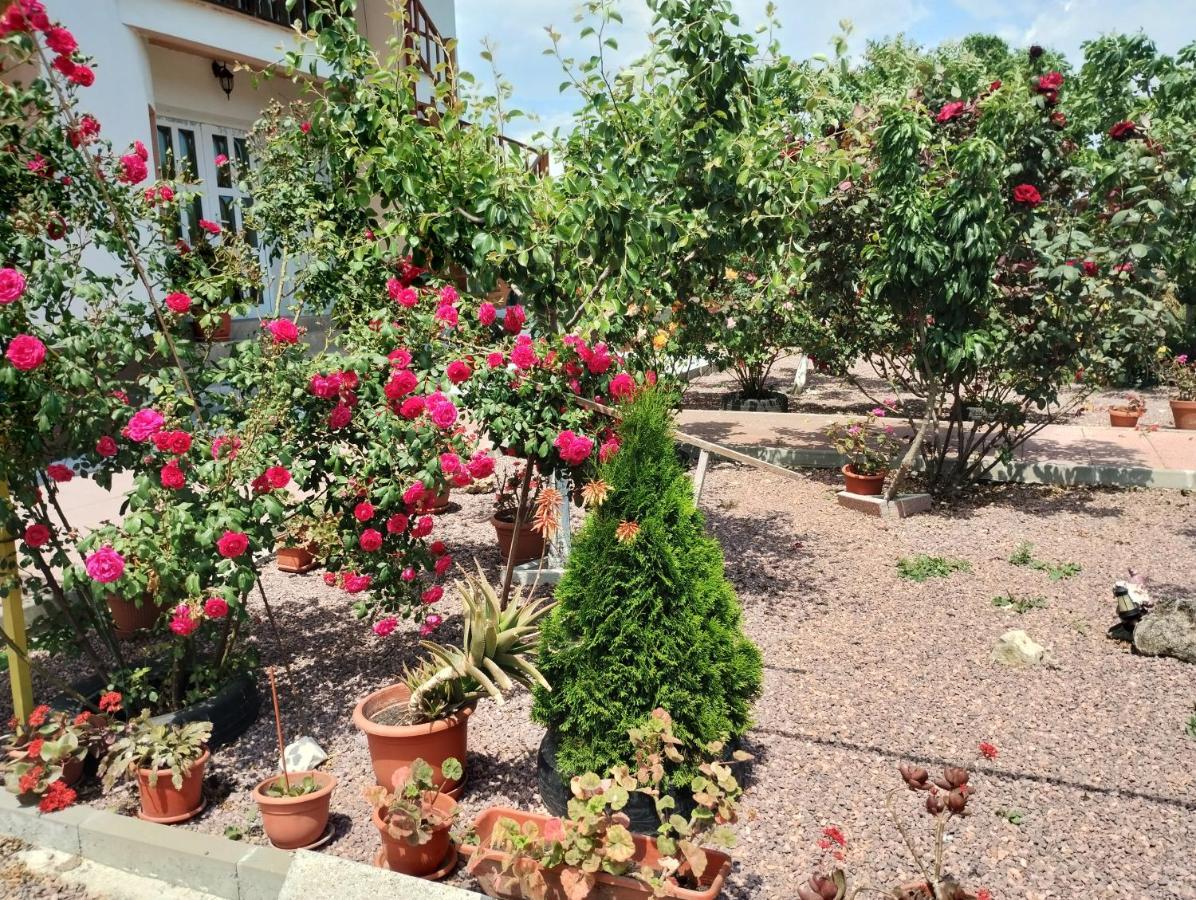 Casa Doina Hotel Douazeci si Trei August Bagian luar foto